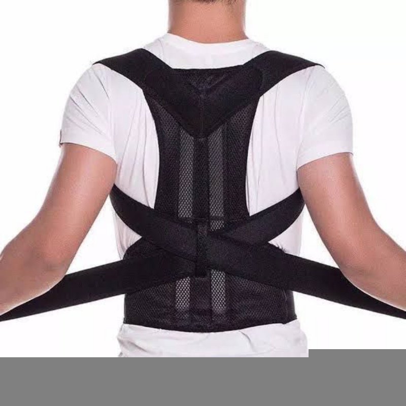 Back support belt
